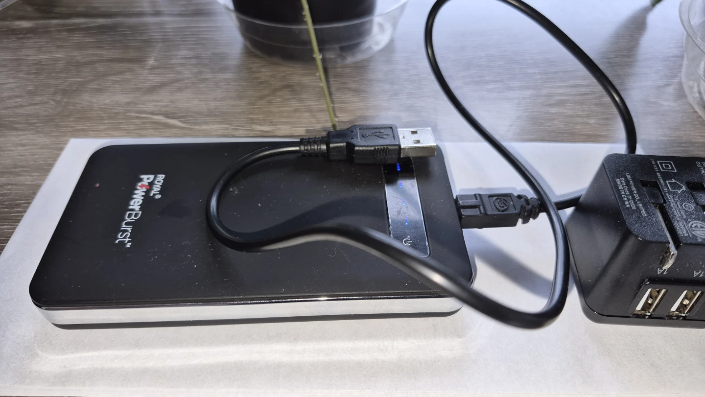Royal PowerBurst 10000mAh Power Bank