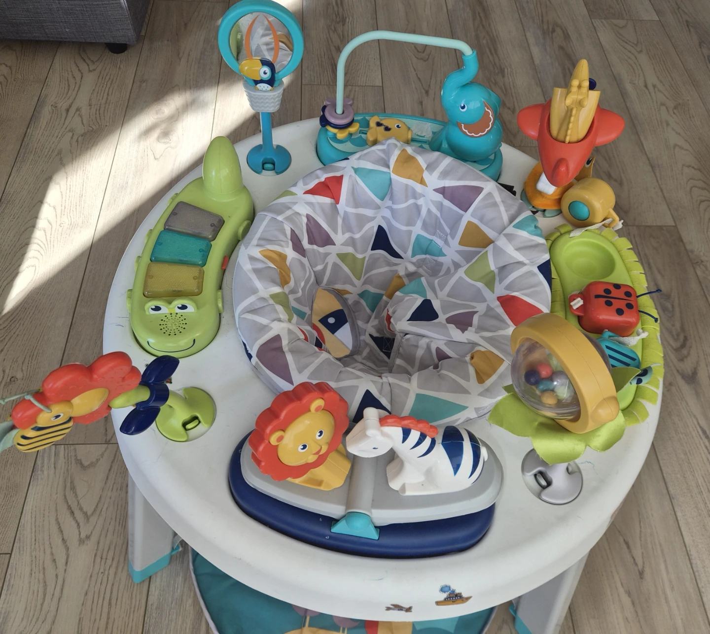 Baby activity Center from Pet free and Smoke free home - photo 2