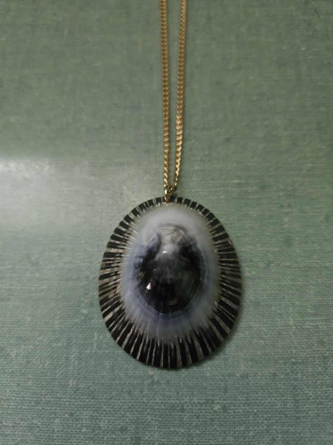 NEW * Beautiful * SHELL PENDANT  * and CHAIN * - photo 2