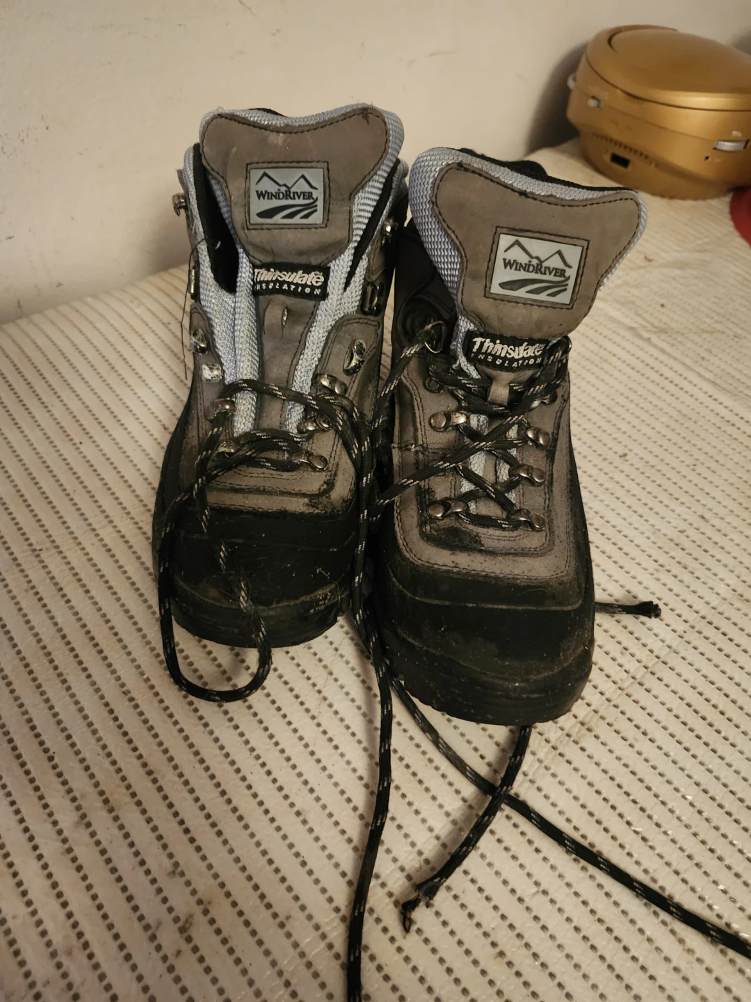 WindRiver Thinsulate Hiking Boots