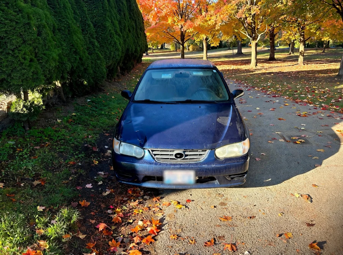 2002 Toyota Corollaq - photo 2