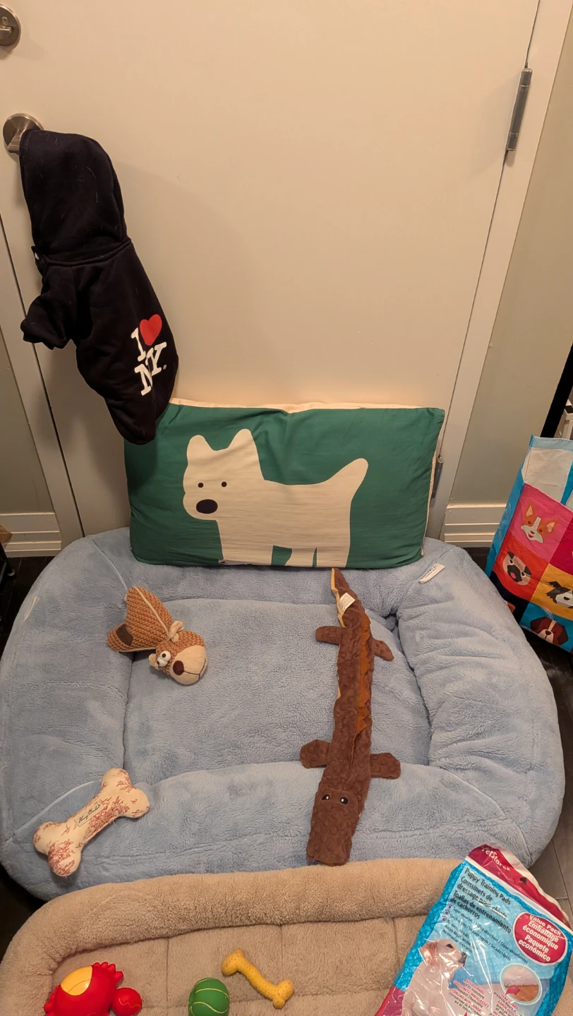 Dog Bundle various - photo 3