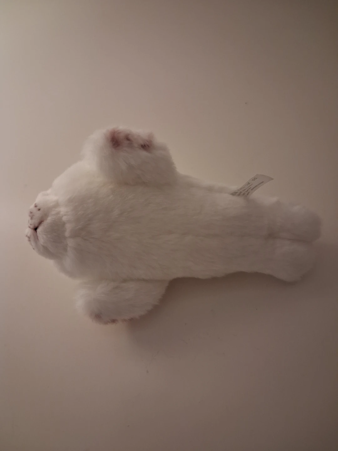 Plush Seal