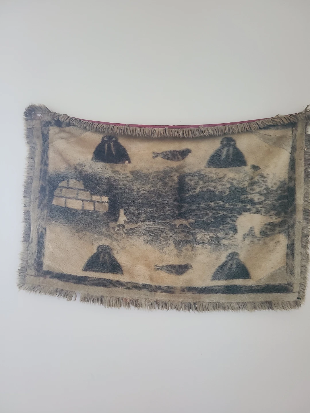 Authentic seal skin Wall Hanging