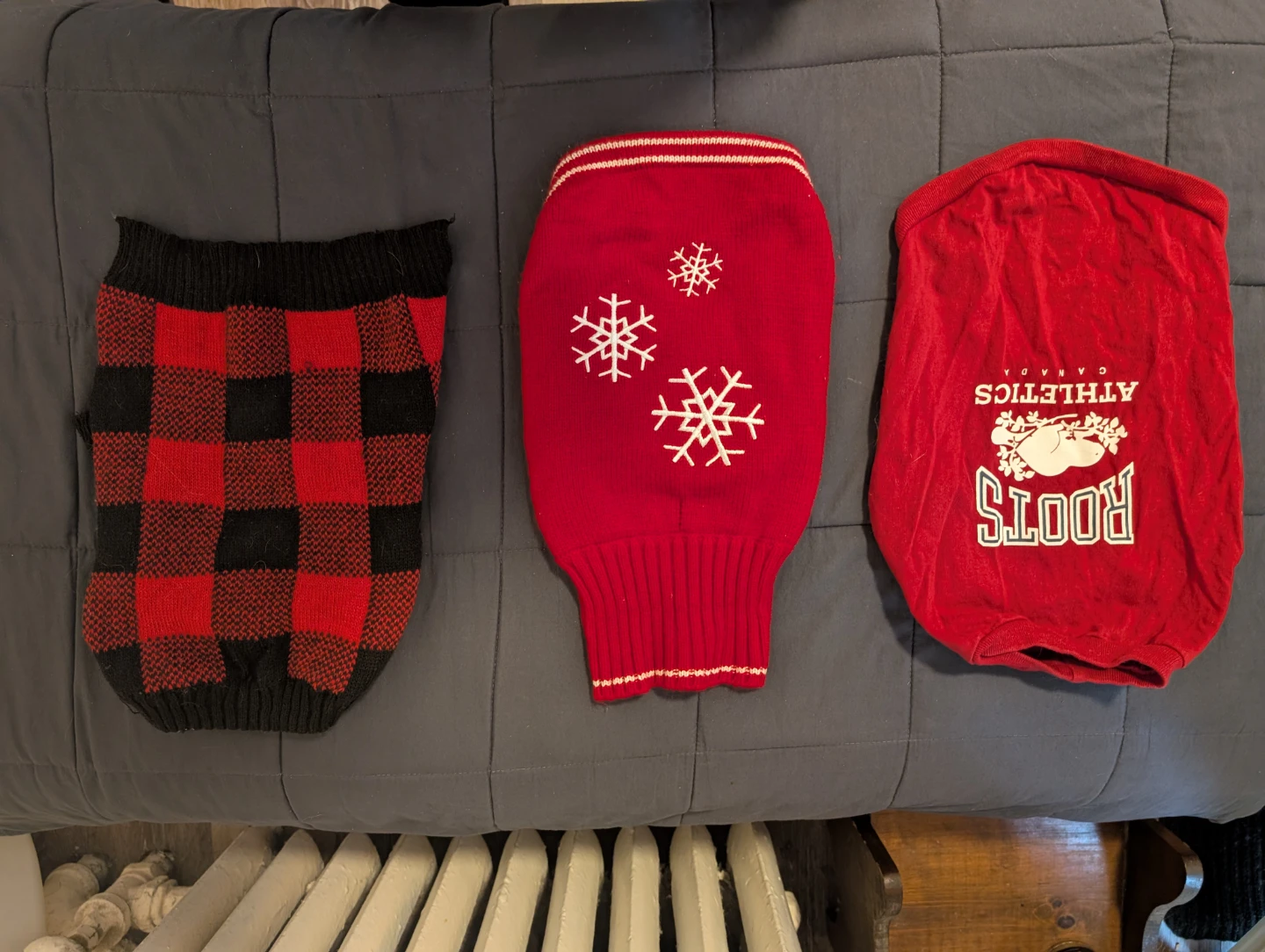 Assorted Dog Clothes - Roots, NHL, Band Tees