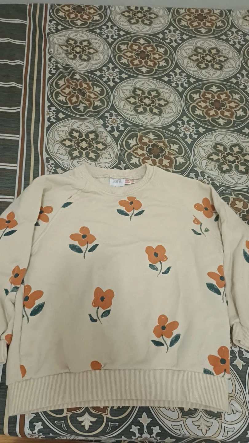ZARA Floral Sweatshirt