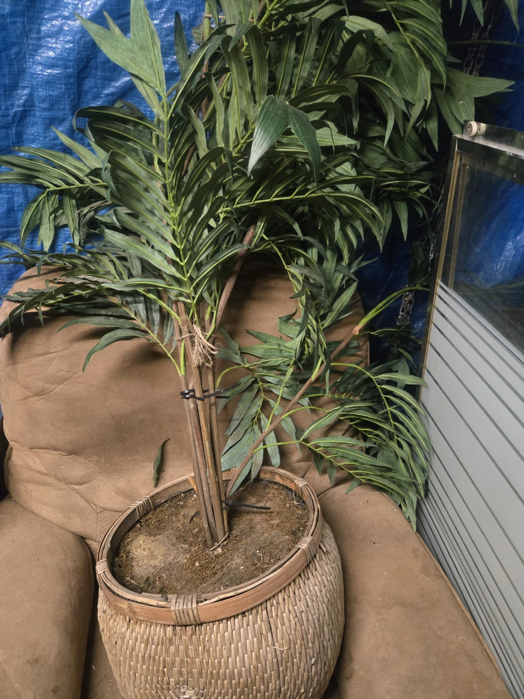 Artificial Palm Plant in Woven Basket