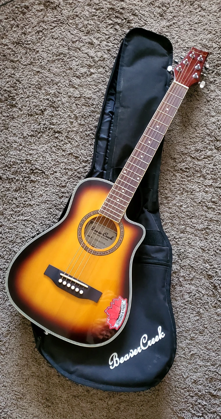 Beaver Creek Acoustic-Electric Guitar