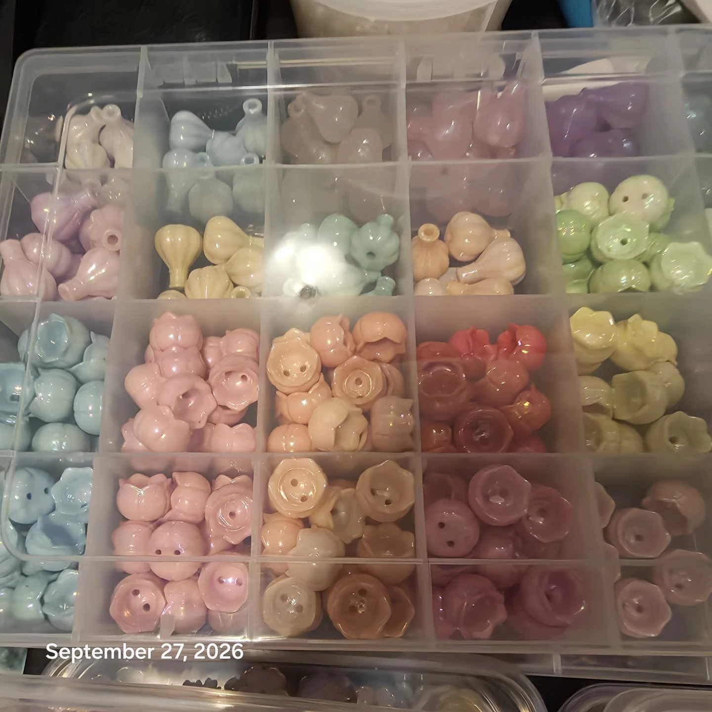 Assorted Multi-Coloured Floral Bead Craft Kit - photo 5