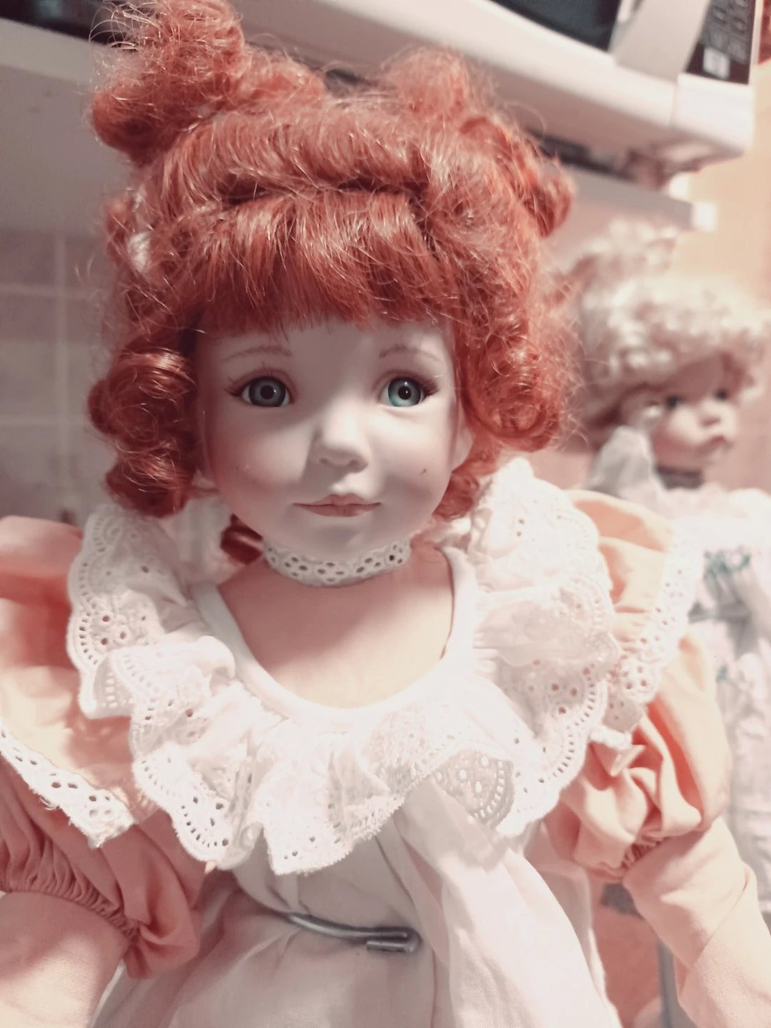 Vintage Dianna Effner Porcelain Dolls Knowles & Ashton-Drake - photo 4