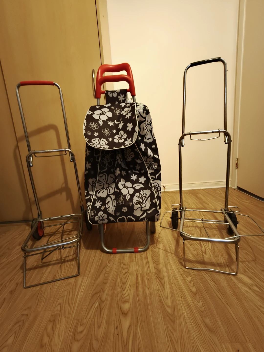 Shopping trolley and luggage carts