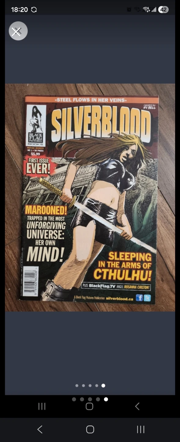 Collection of Maitre du Kung Fu and Silverblood comics - photo 5