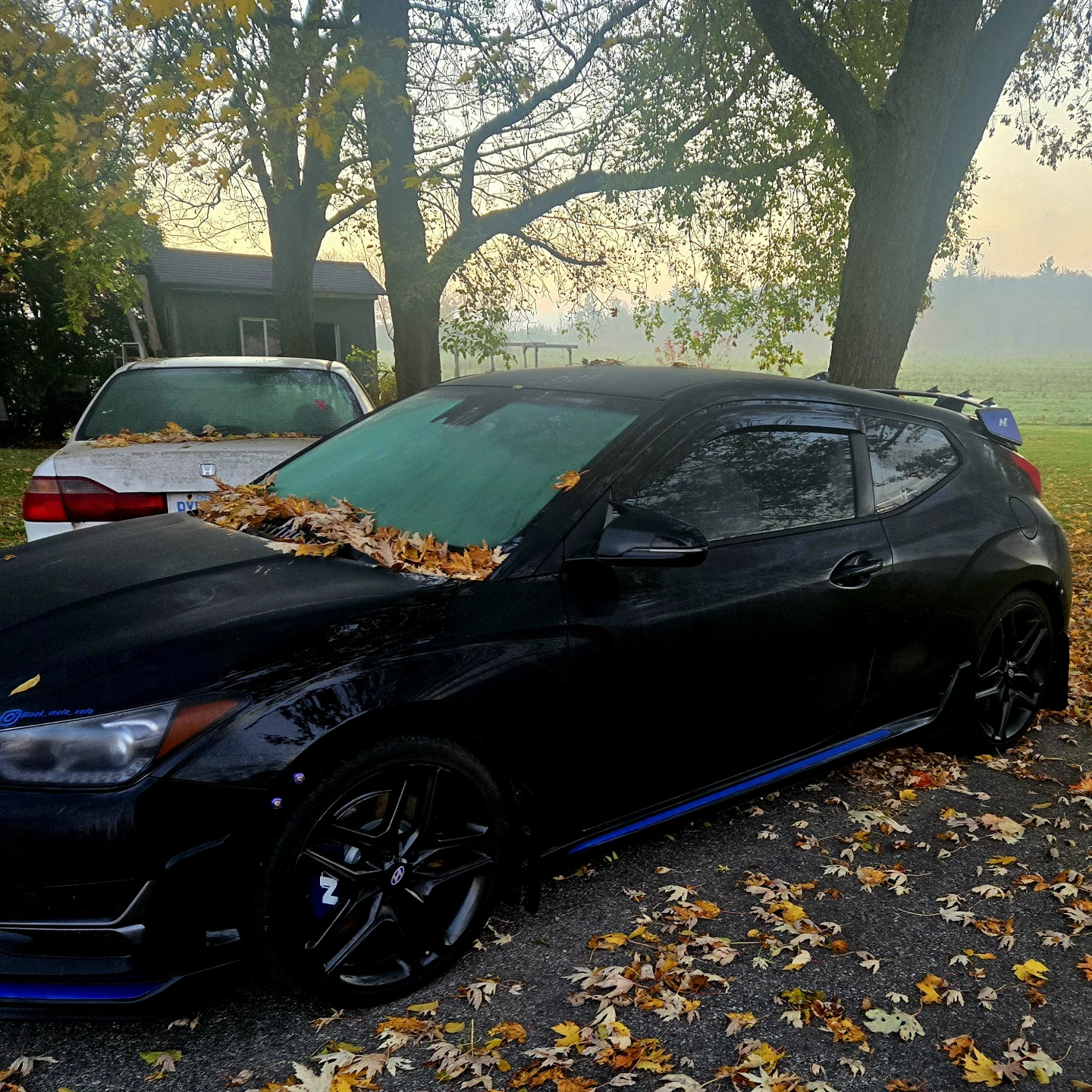 Veloster n 19 inch rims
