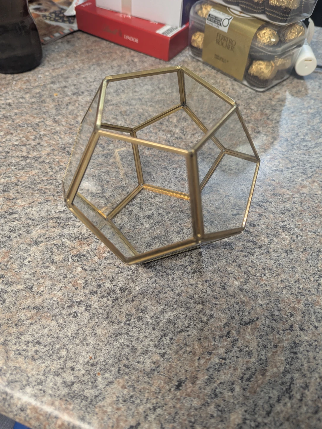 Geometric Glass Terrarium