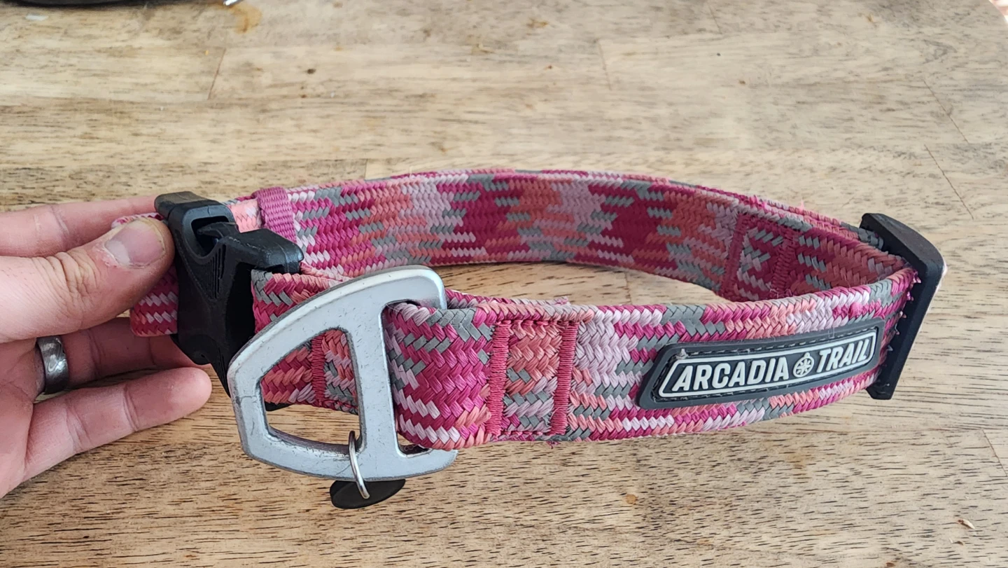 Arcadia Trail Pink Patterned Dog Collar