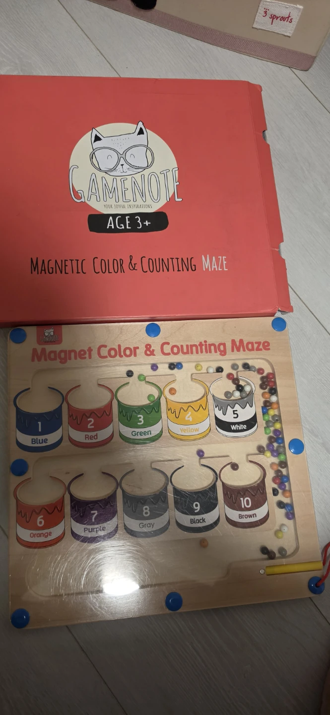 Gamenote Magnetic Color & Counting Maze