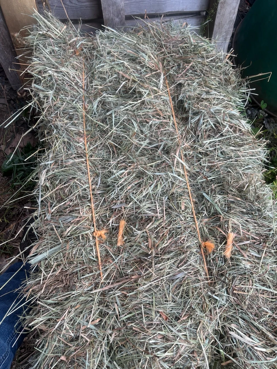 Bale of Dried Hay