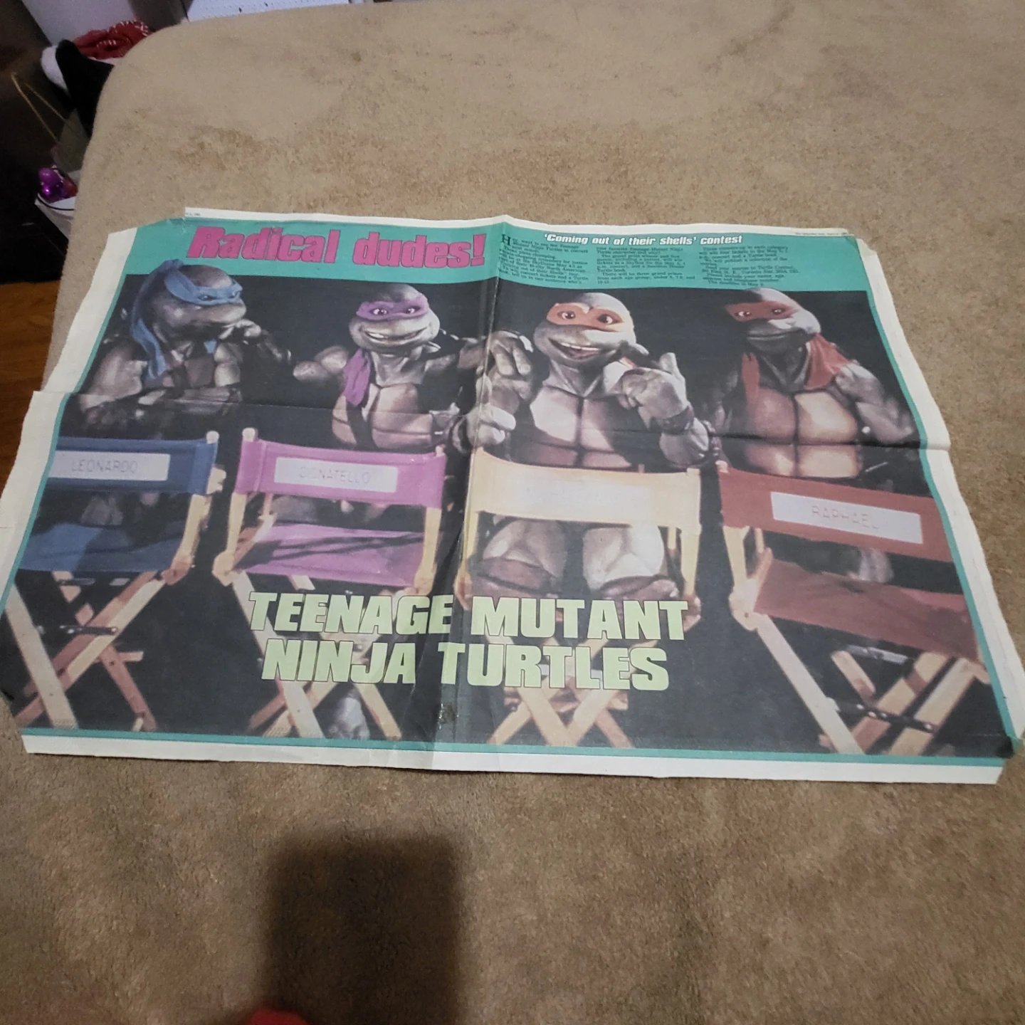 Teenage Mutant Ninja Turtles II Framed Poster - photo 4