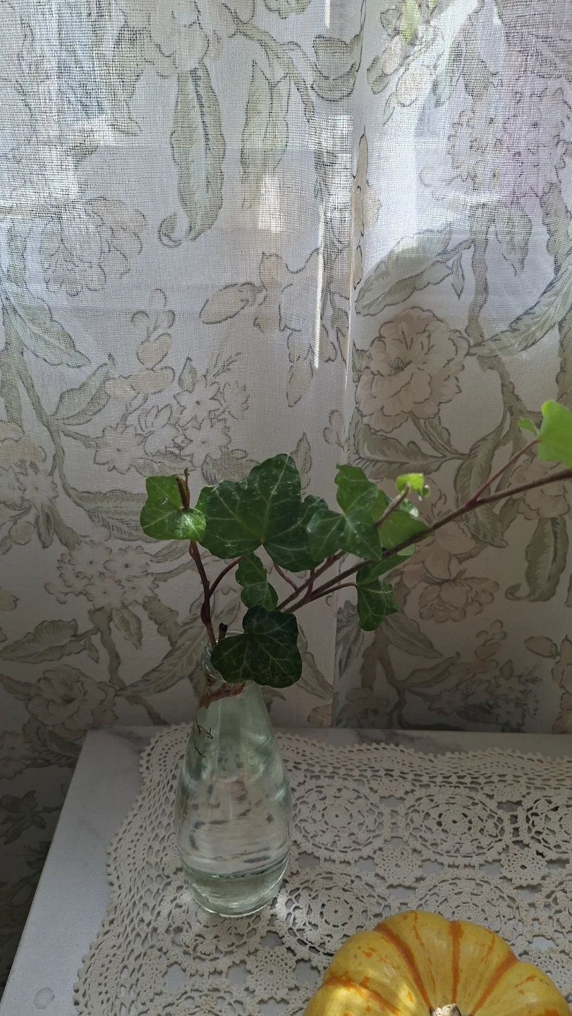 Small Clear Glass Bud Vase with Ivy Plant