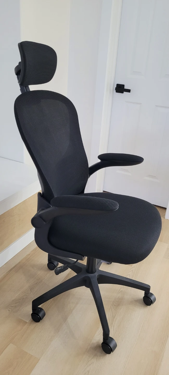 Black Ergonomic Office Chair