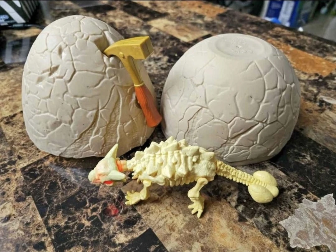Like New T-Rex Fossil Find Dinosaur Digging Kit $10 Firm
