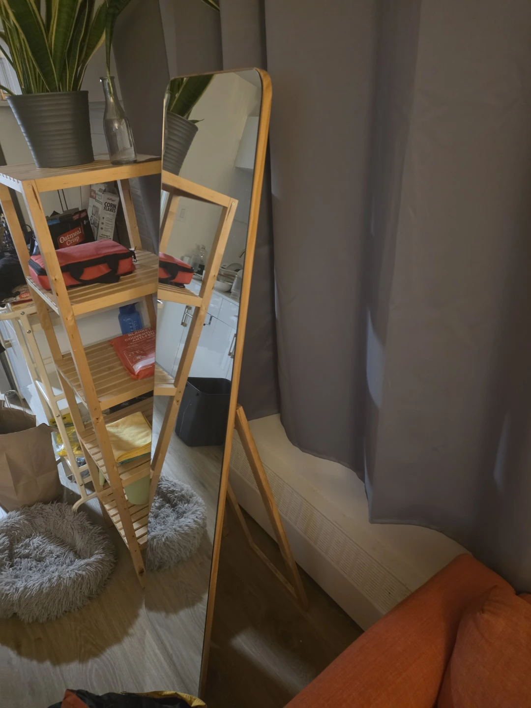 Full-Length Wooden Floor Mirror