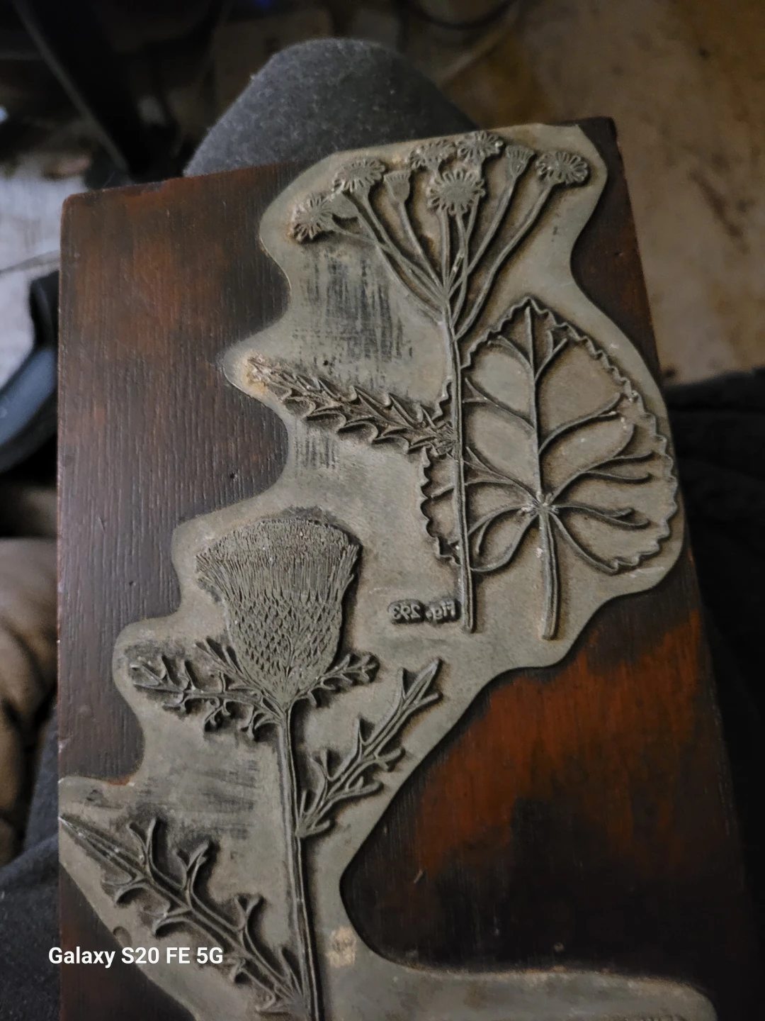 Vintage Botanical Woodblock Printing Plate