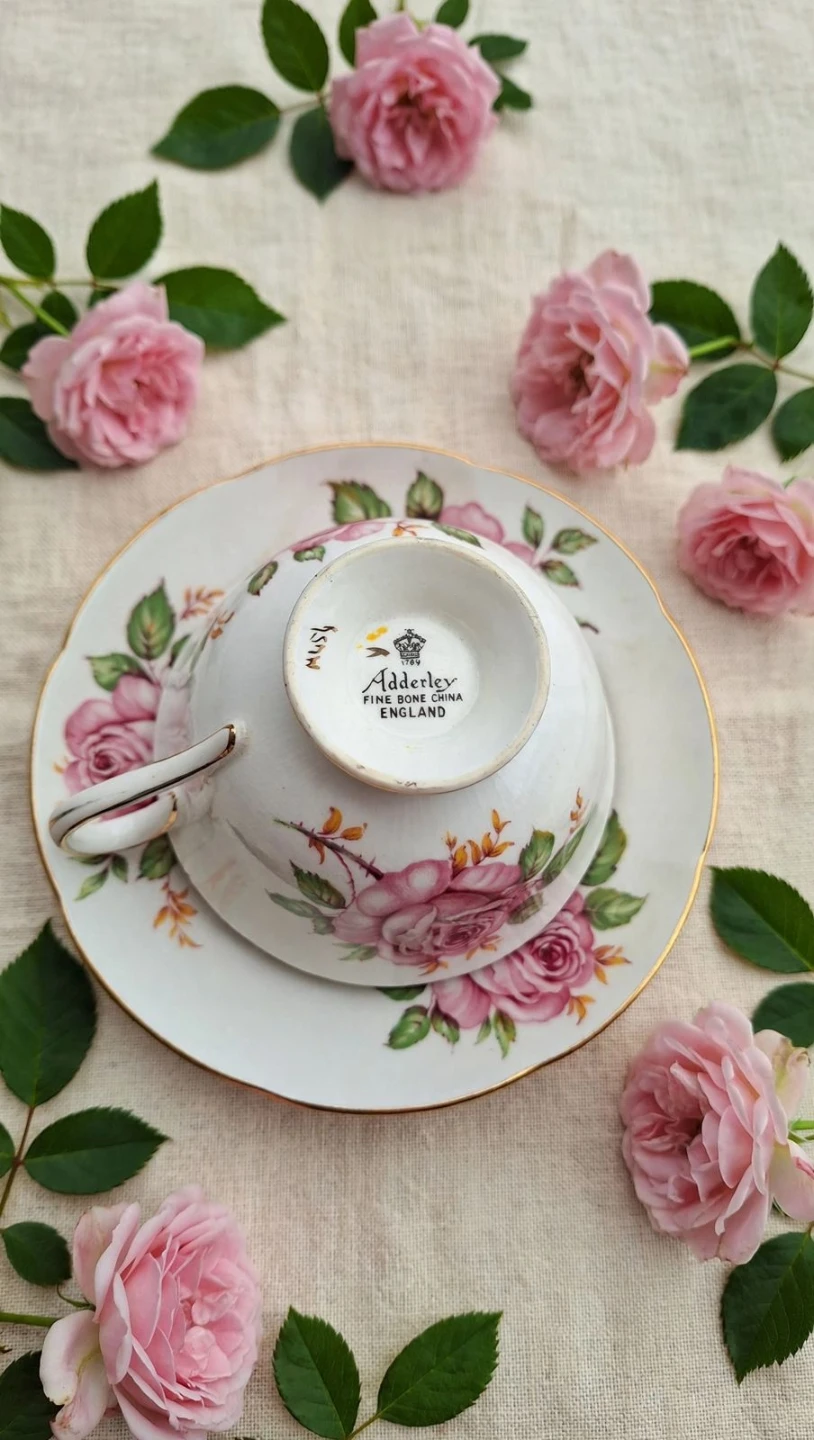 Adderley Fine Bone China Teacup & Saucer - photo 4