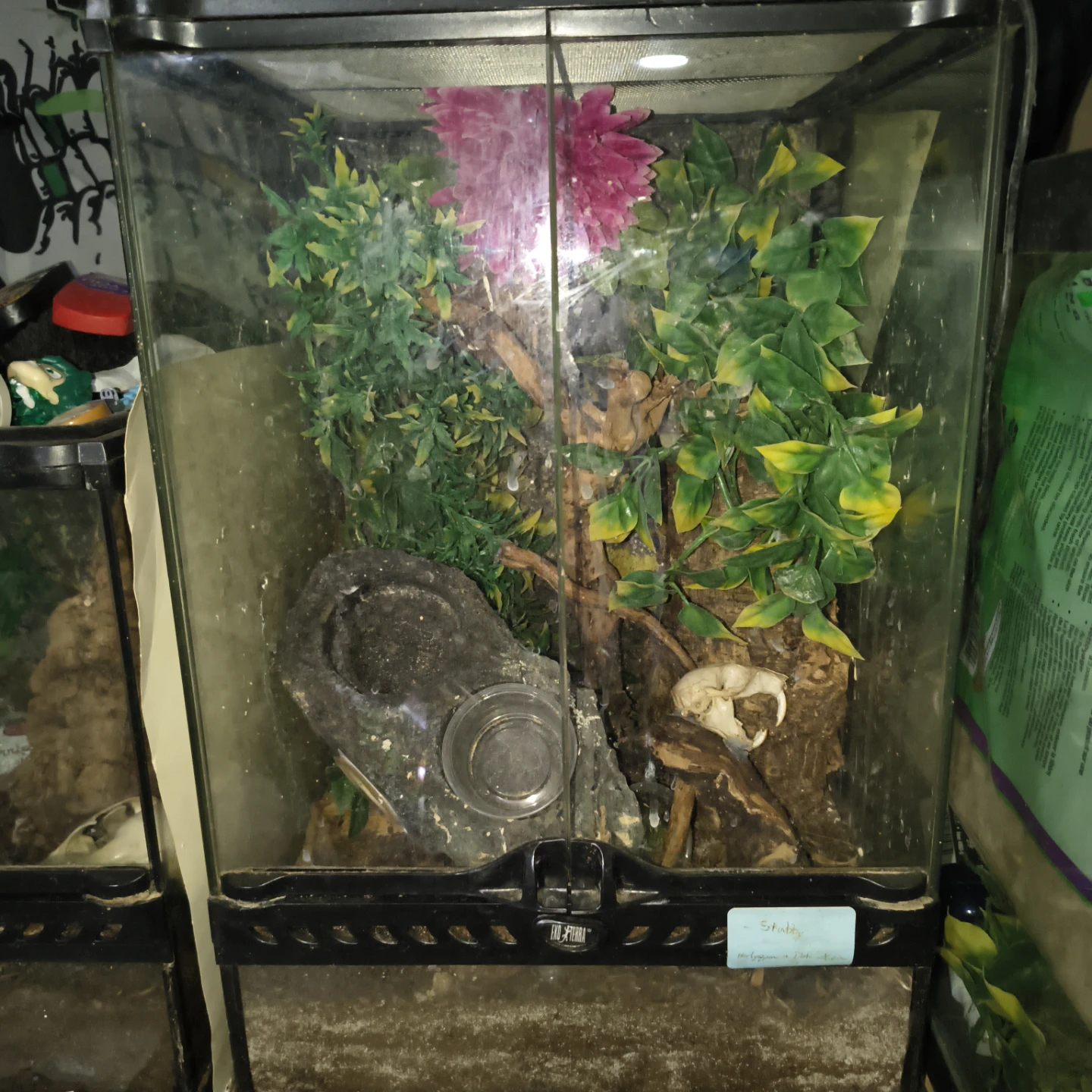 Exo Terra Glass Terrariums with Decor and 30gal tank