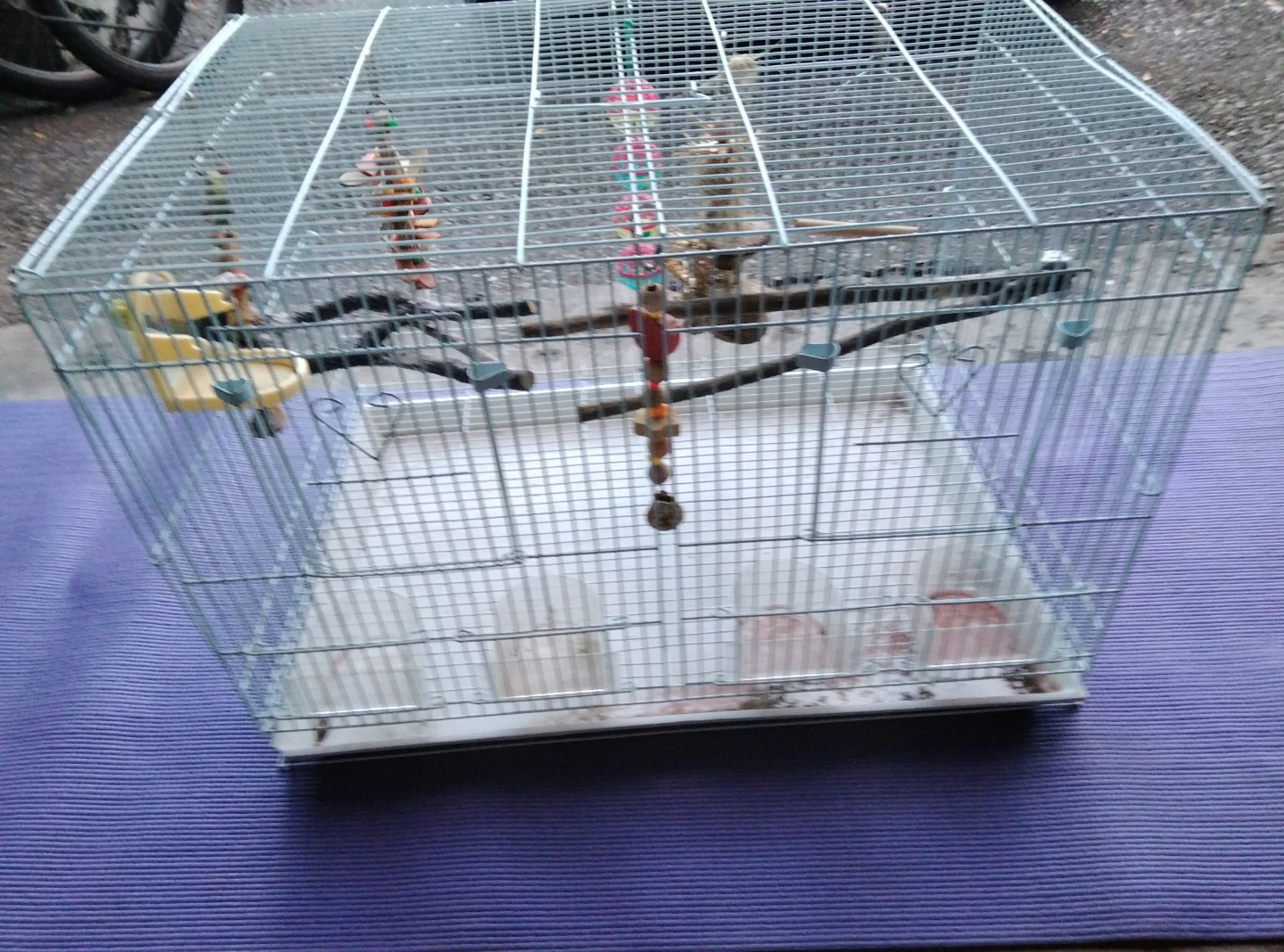 Small Bird Cage