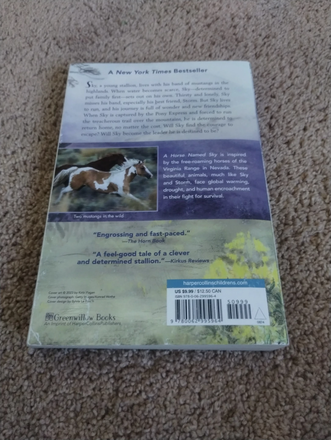A Horse Named Sky by Rosanne Parry - photo 2