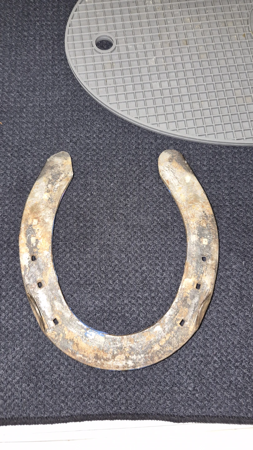 Lucky charms horseshoe - photo 2