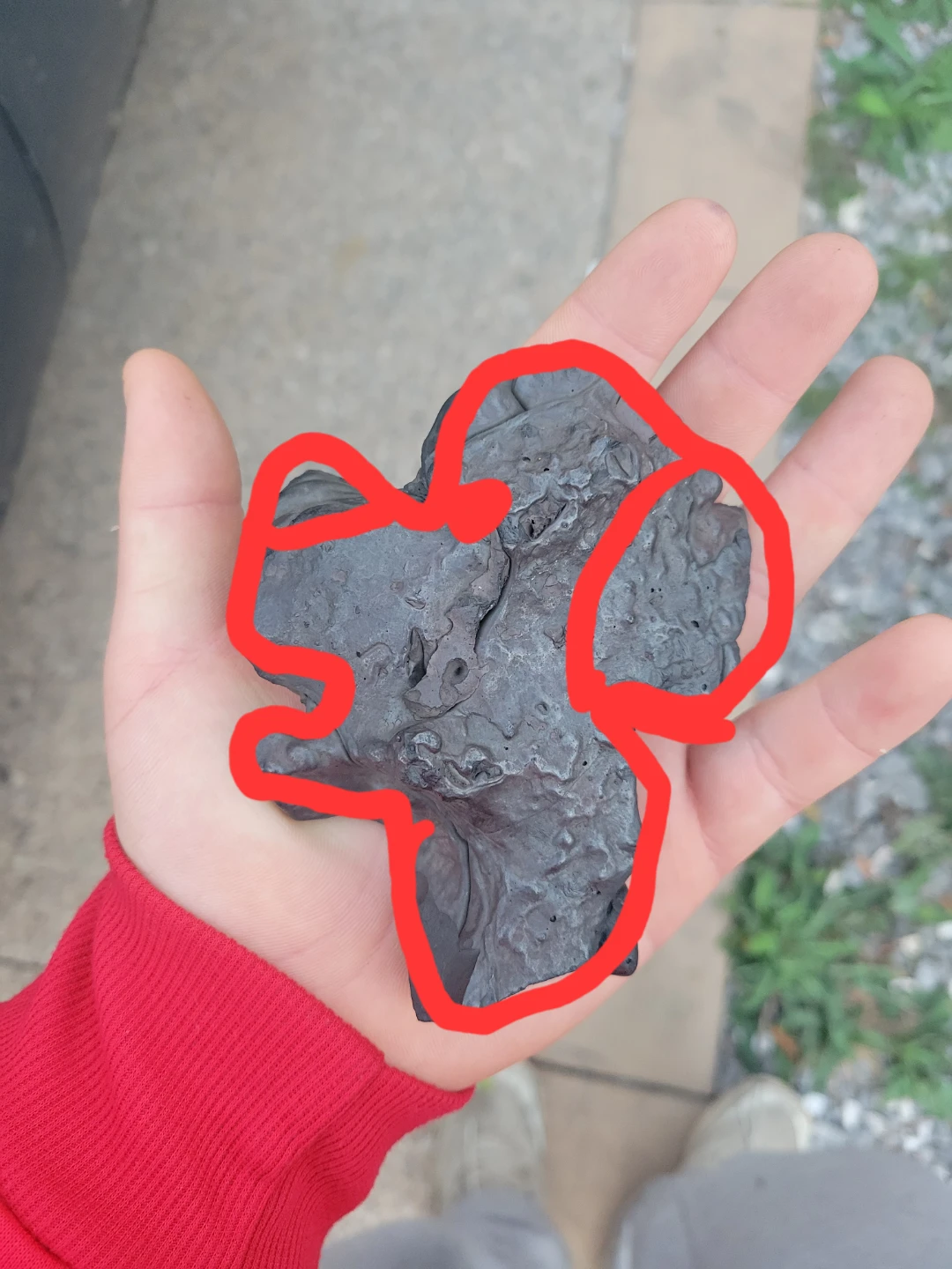 A metallic stone that looks like a dog. - photo 2