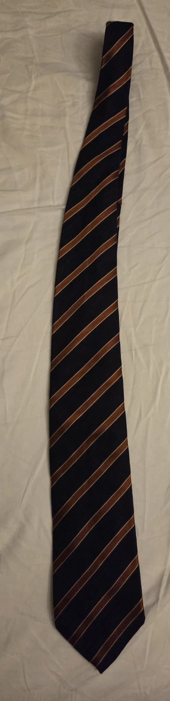 Pal Zileri Striped Tie