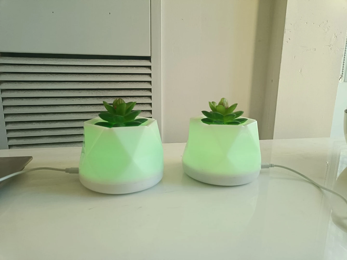 Set of Two LED Succulent Decorative color changing Lights