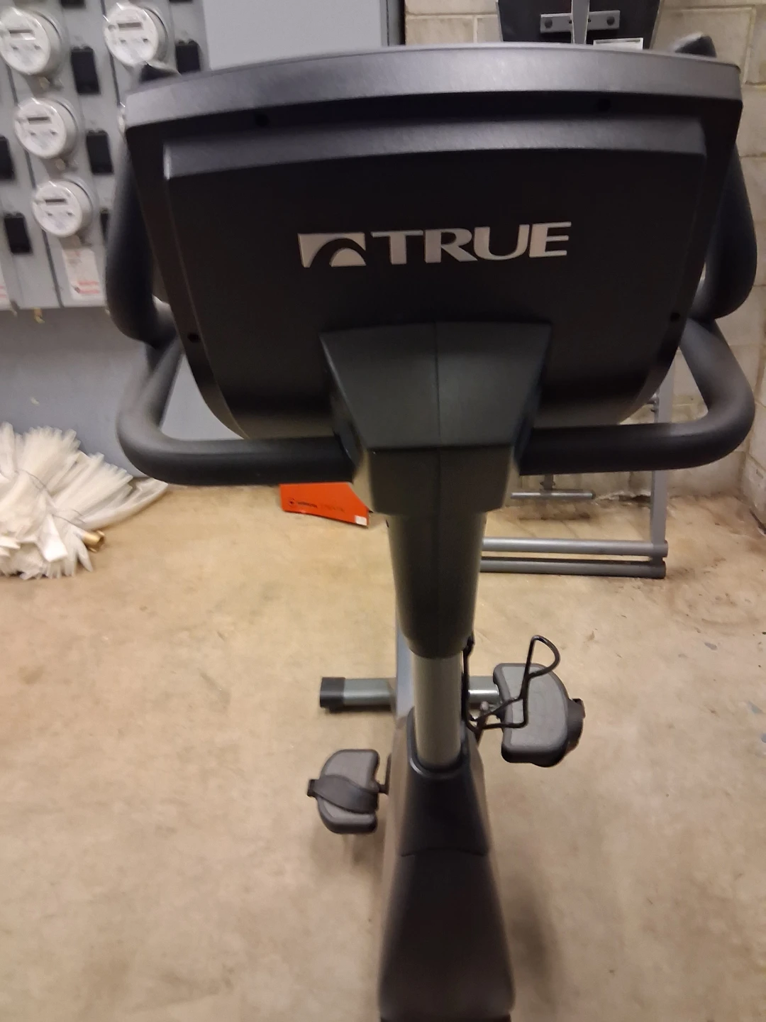 TRUE Fitness CS200 Upright Exercise Bike - photo 5