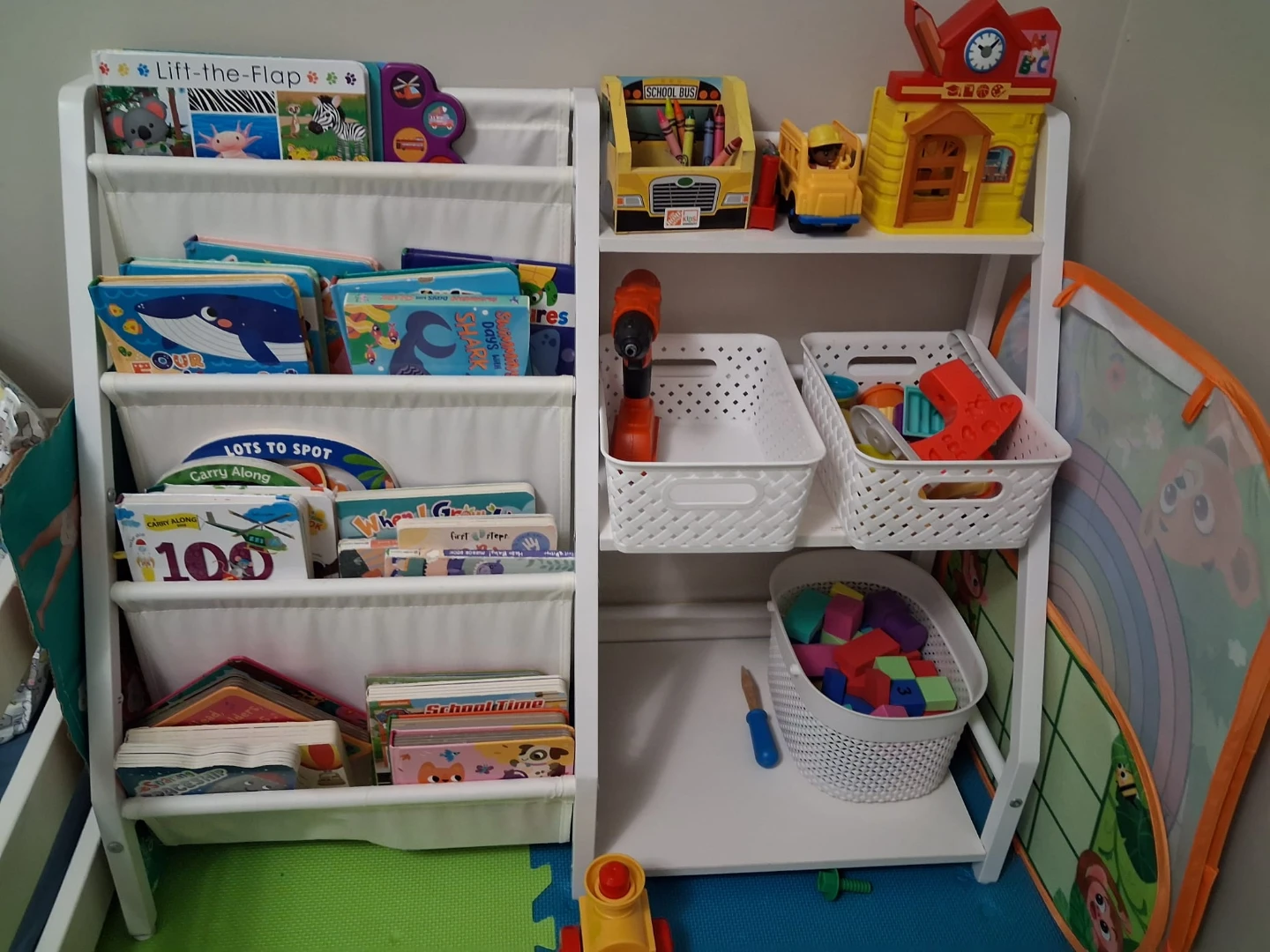 Kids Book and Toy Storage Organizer