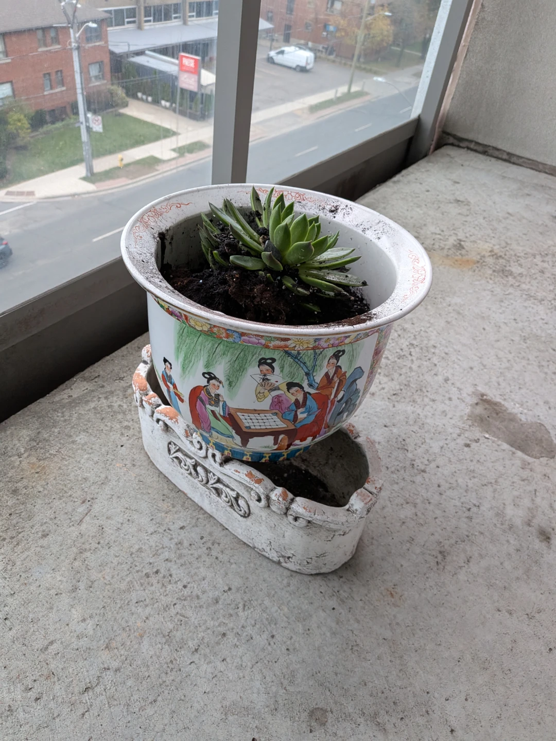 Antique chinese vase with cactus plant