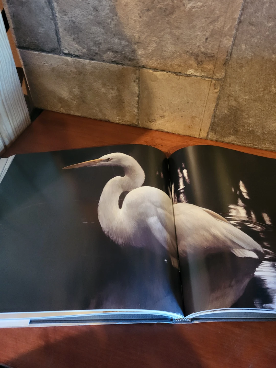 Natural Worlds by Robert Bateman - photo 2