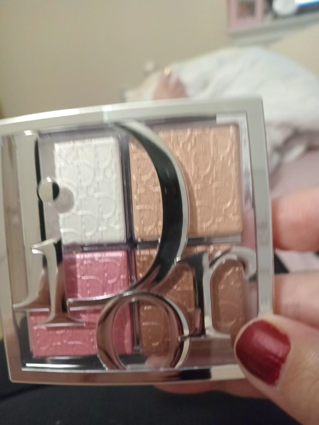 Christian Dior Backstage Highlighter and Blush