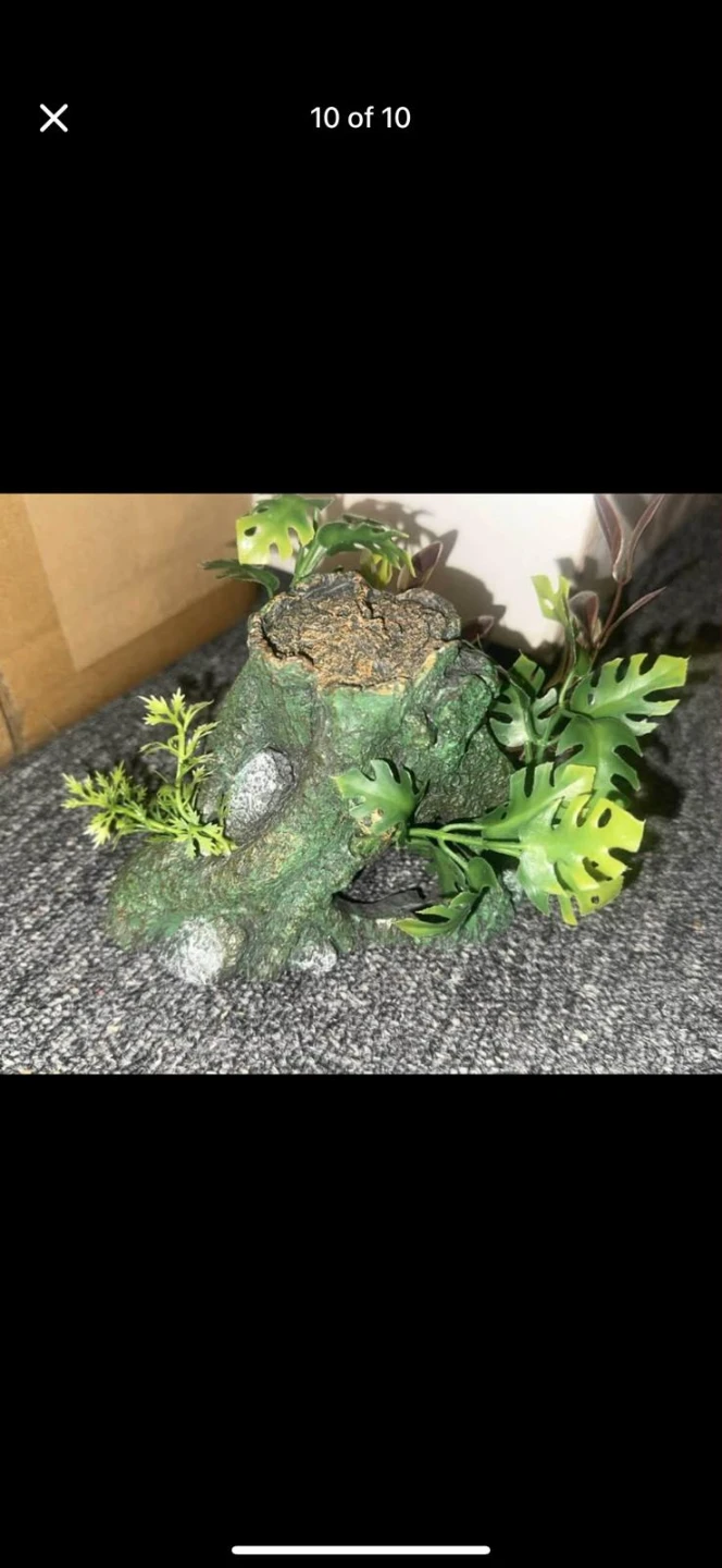 SpongeBob Aquarium Decor Set - photo 4