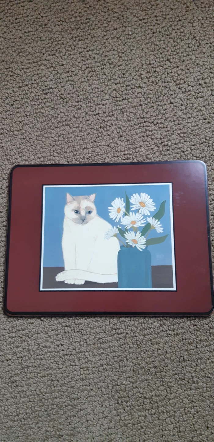 Set of 4 Cat Design Placemats - photo 3