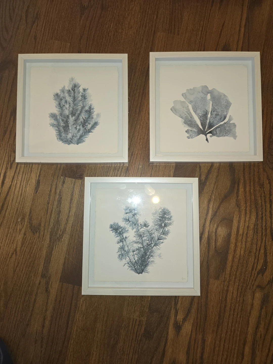 Set of 3 Coastal Botanical Art Prints