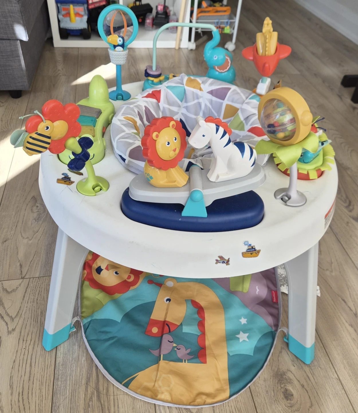 Baby activity Center from Pet free and Smoke free home