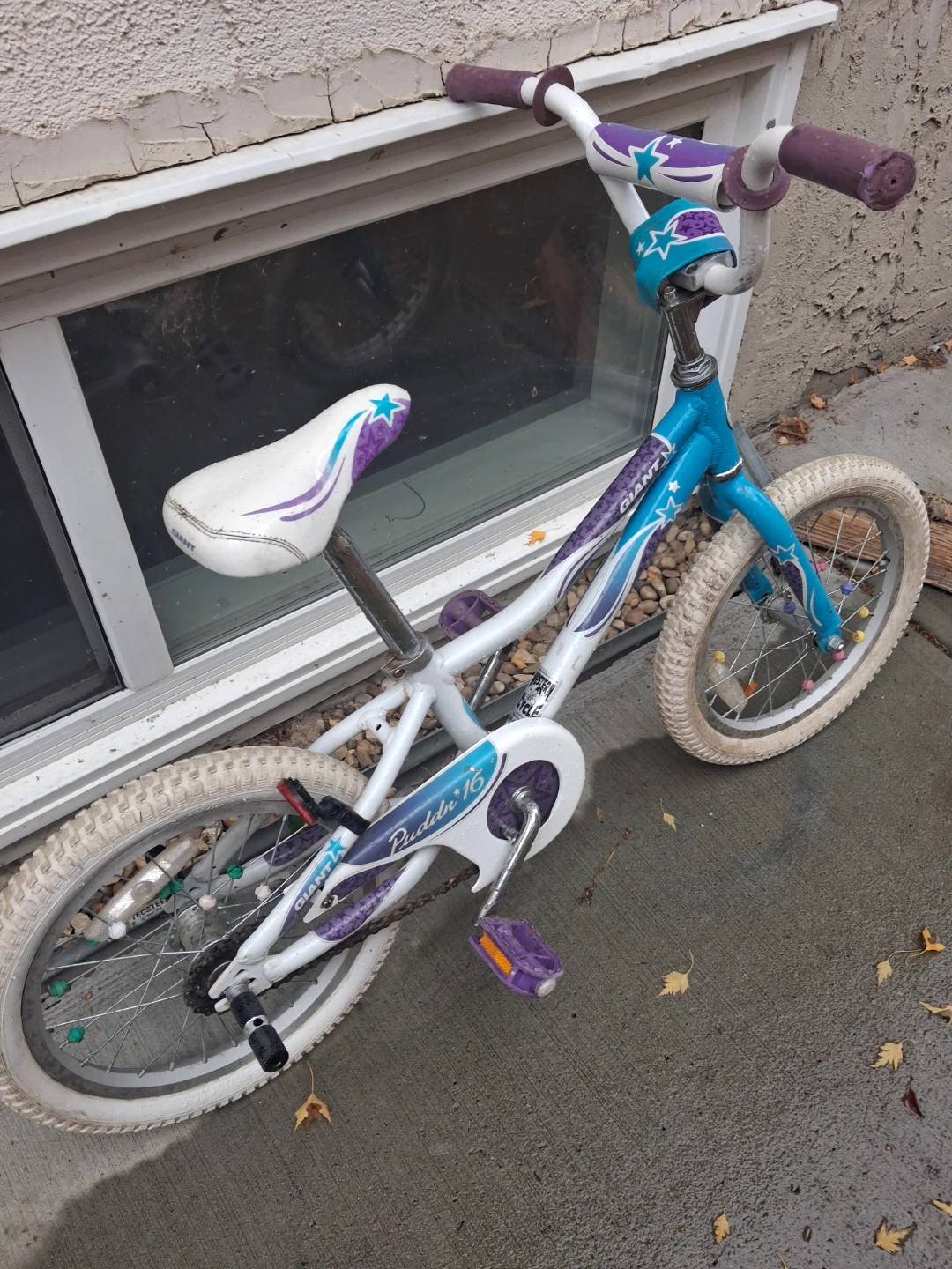 Giant Puddin 16 Kids Bike
