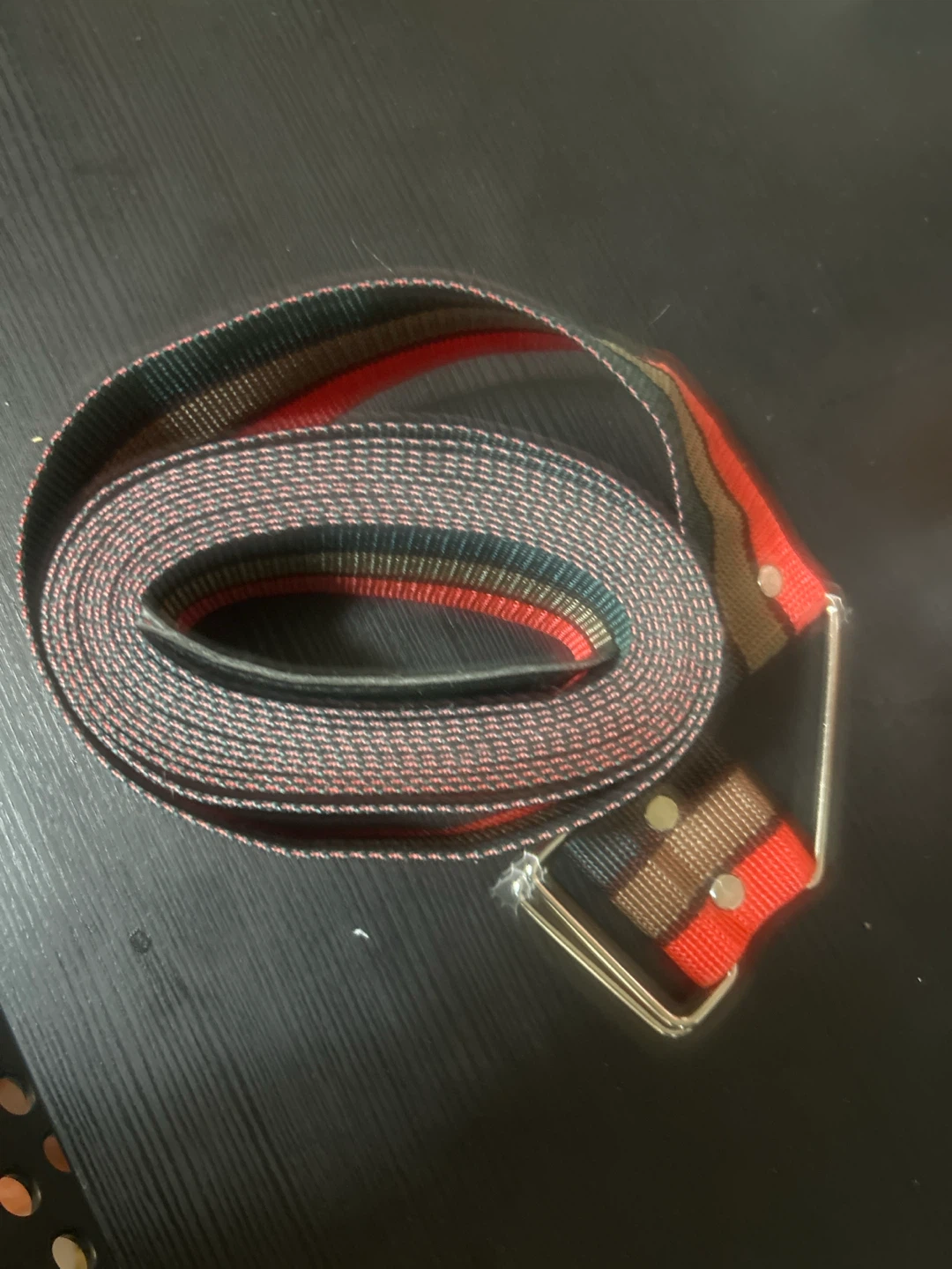 Striped Nylon Webbing Belt