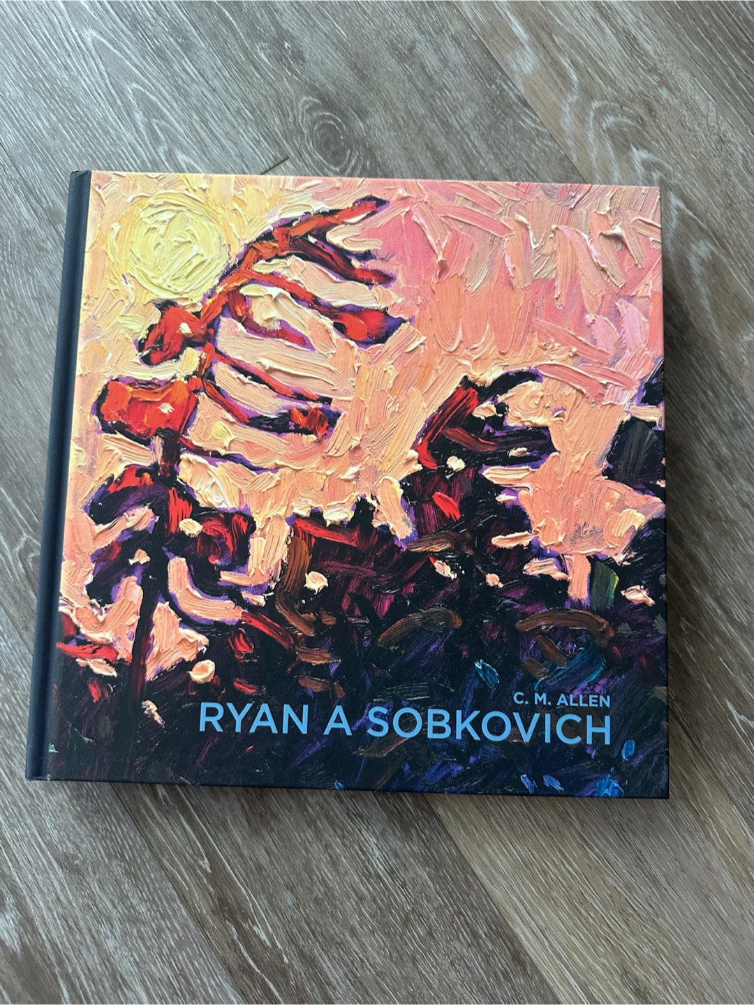 Ryan A Sobkovich Art Book by C.M. Allen