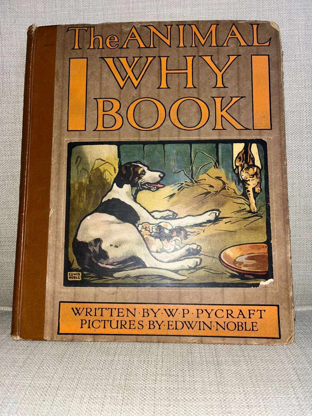 The Animal Why Book by W.P. Pycraft