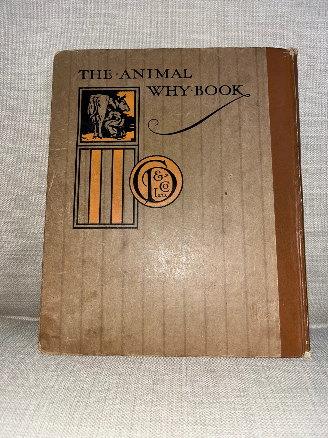 The Animal Why Book by W.P. Pycraft - photo 2