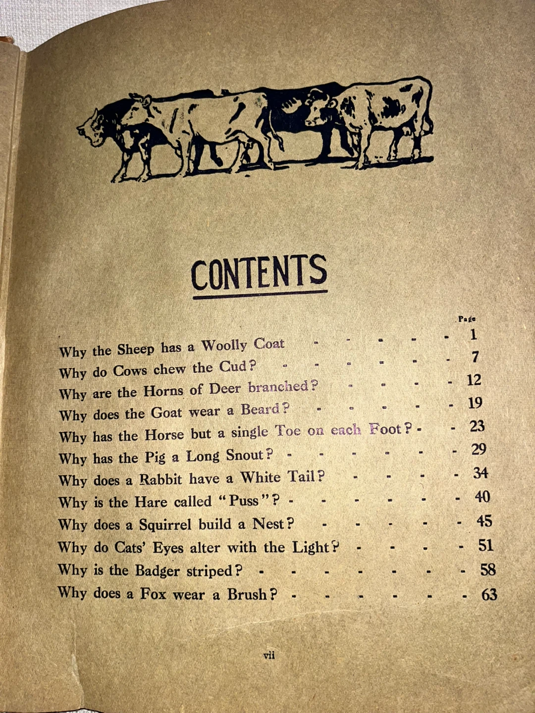 The Animal Why Book by W.P. Pycraft - photo 4
